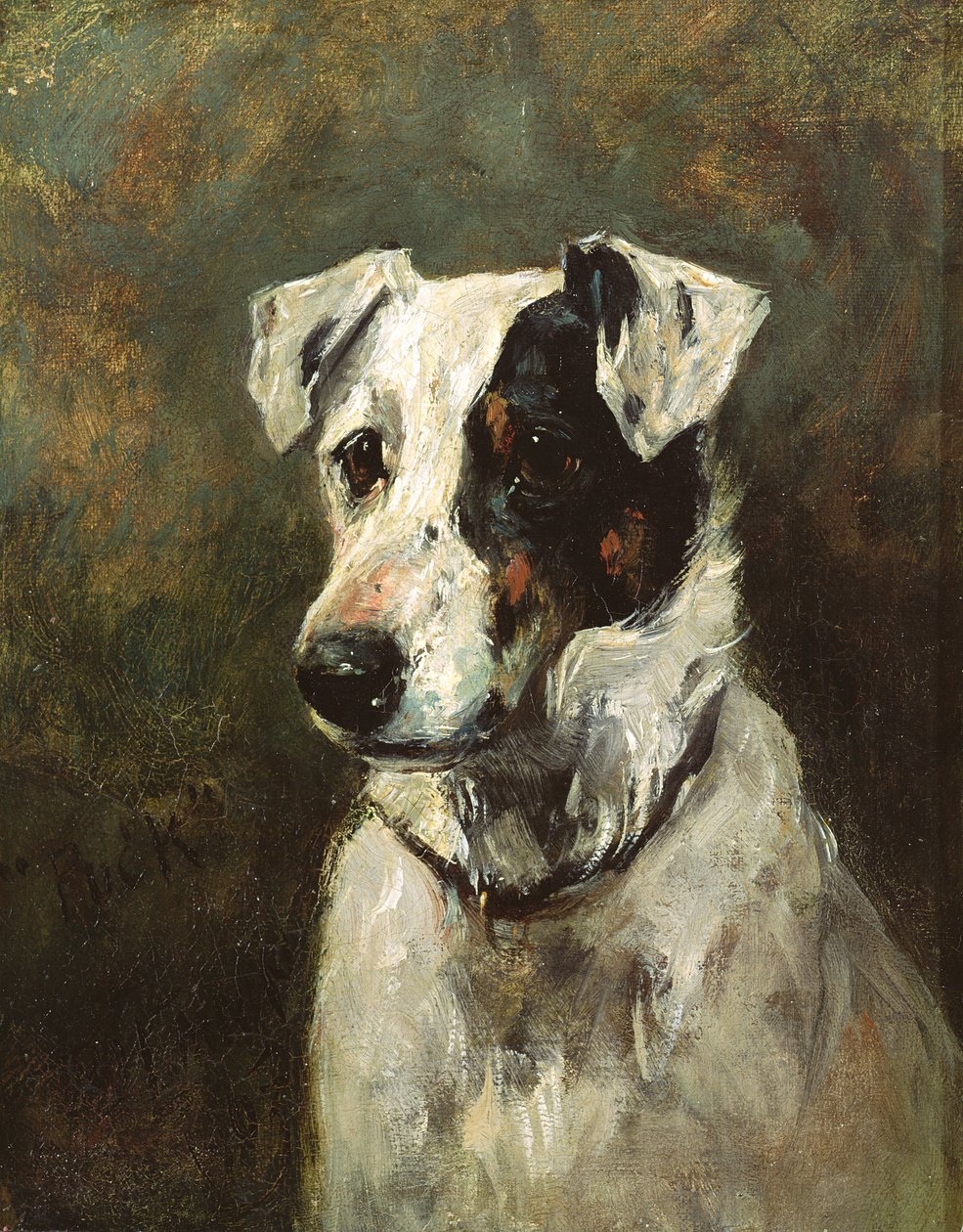 Puck, 1903 de John Emms