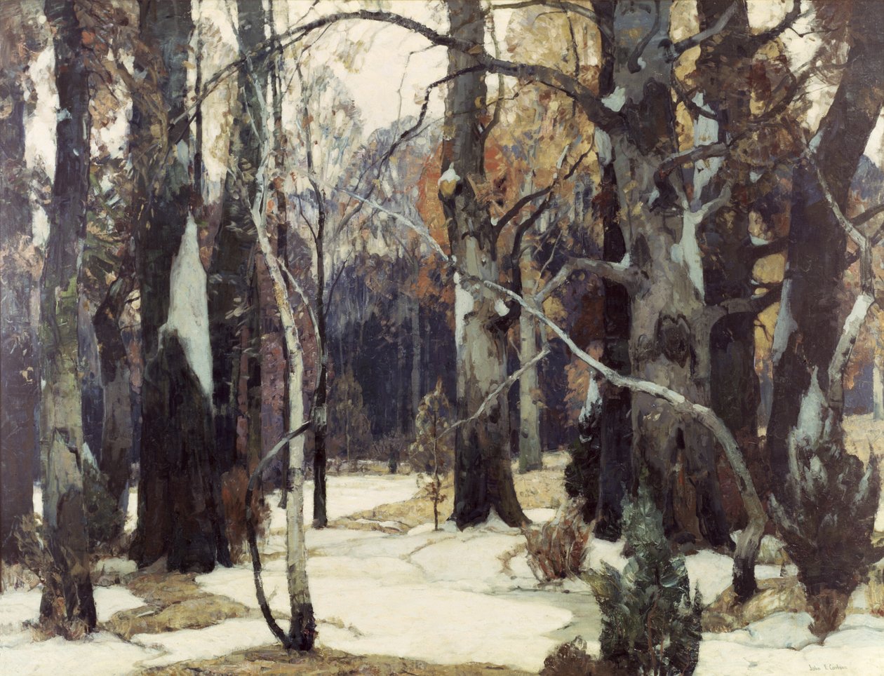 Vistas del bosque, c.1932 de John Fabian Carlson