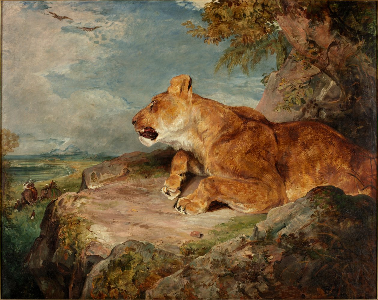 La leona, c.1824-27 de John Frederick Lewis