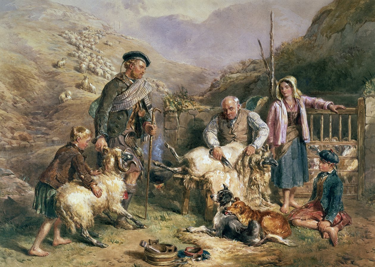 Esquila de ovejas de John Frederick Tayler