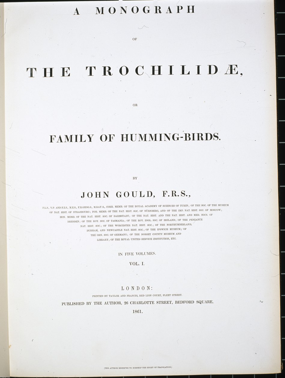Frontispicio de John (after) Gould