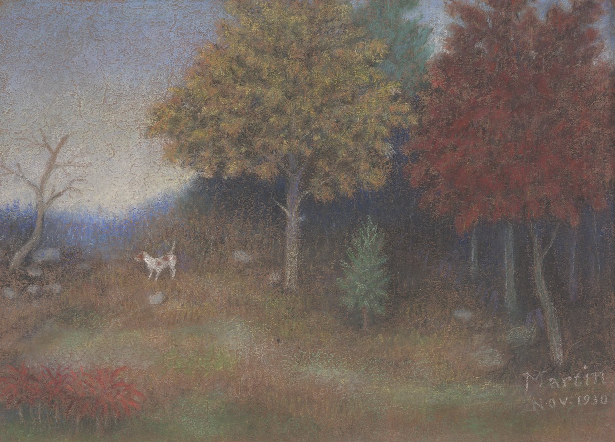 Cerca del Parque Stevens W. Dallas de John Breckinridge Martin