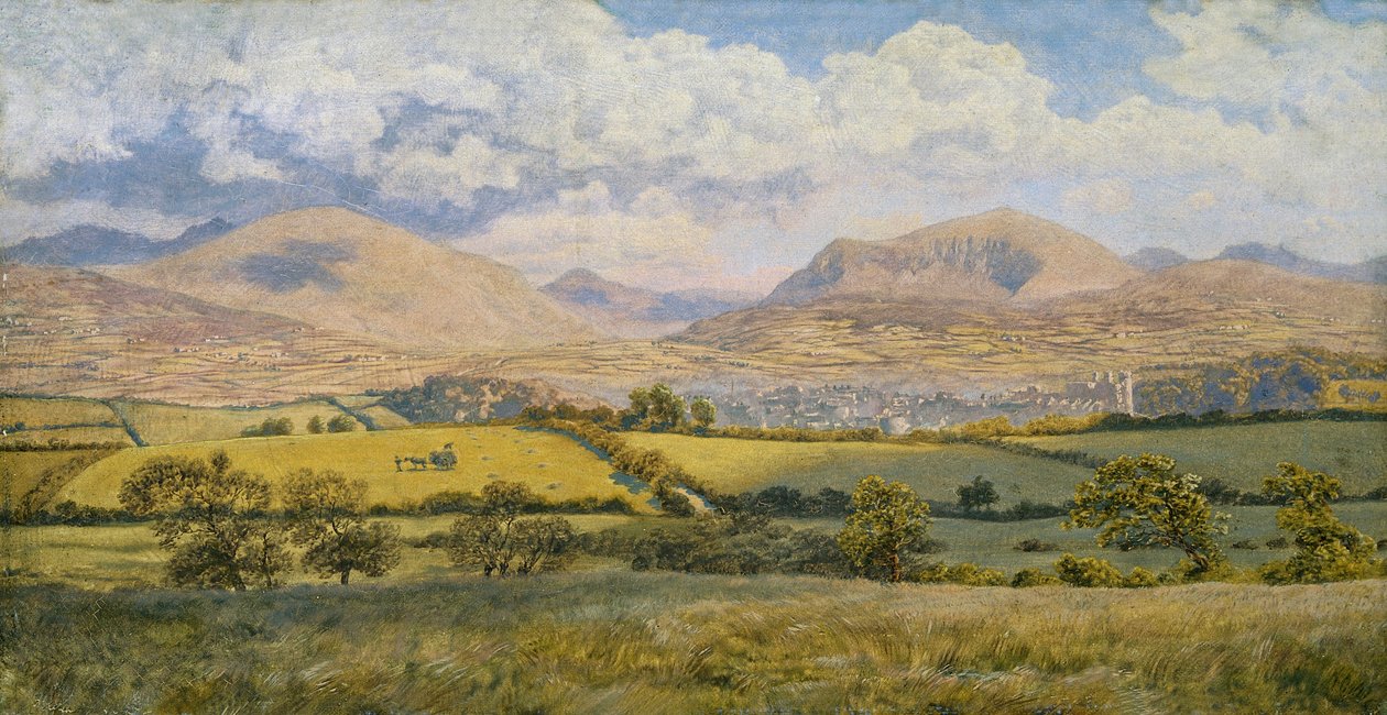 Caernarvon de John Brett