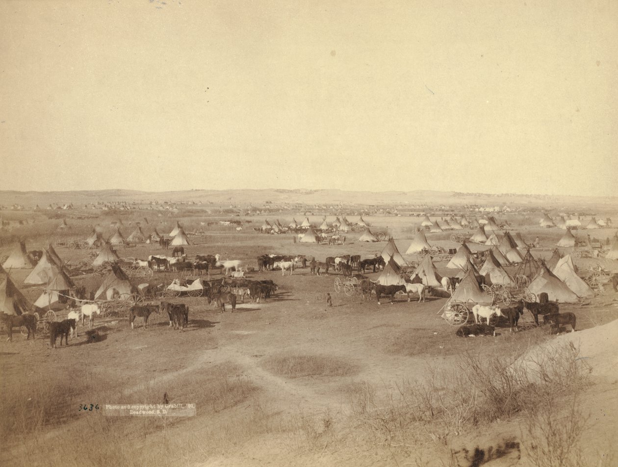 Campamento indio hostil, 1891 de John C. H. Grabill