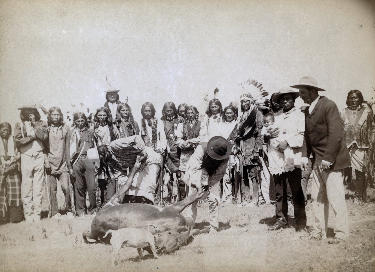 Desollando carne, 1891 de John C. H. Grabill
