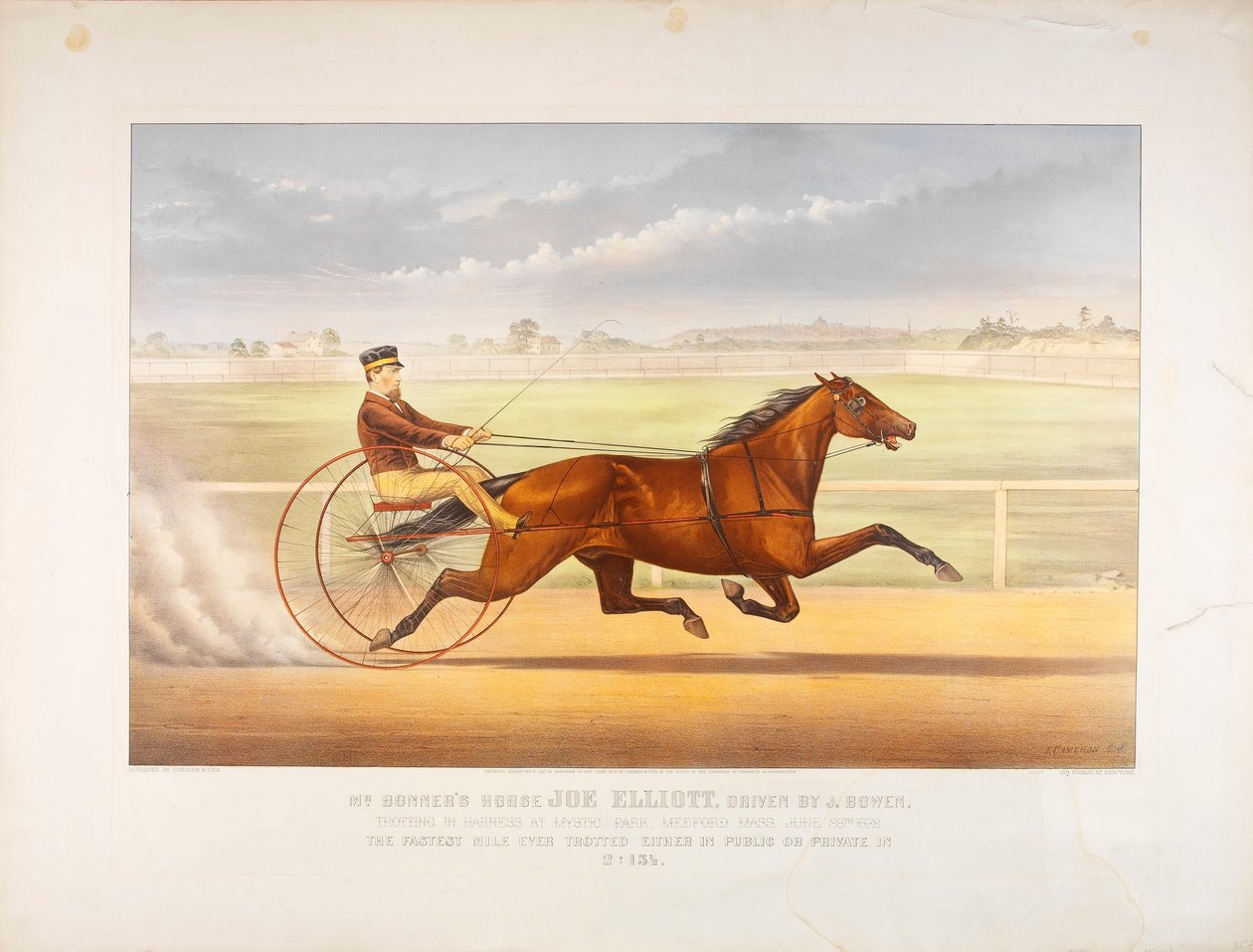 El caballo del Sr. Bonner Joe Elliott de John Cameron