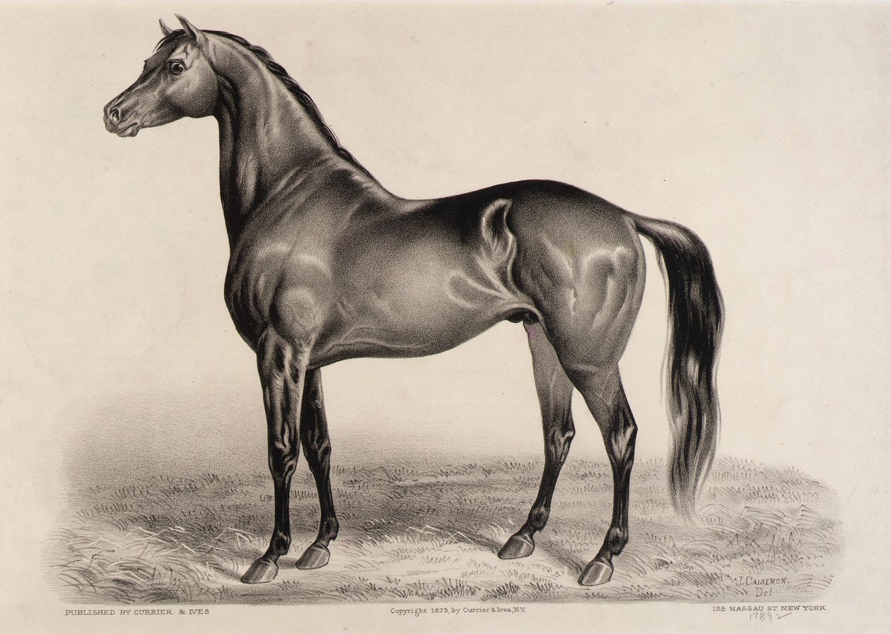 Redpath de John Cameron
