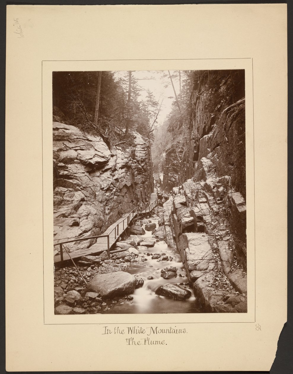 En las Montañas Blancas/The Flume de John Coates Browne