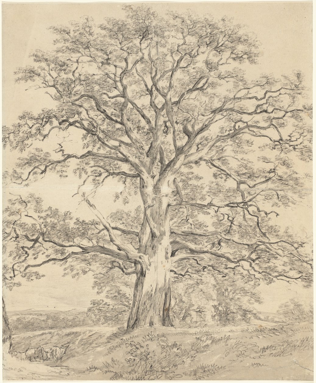 Un gran roble de John Constable