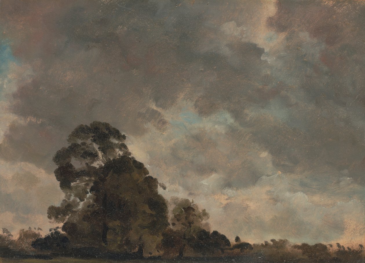 Estudio sobre la nube de John Constable