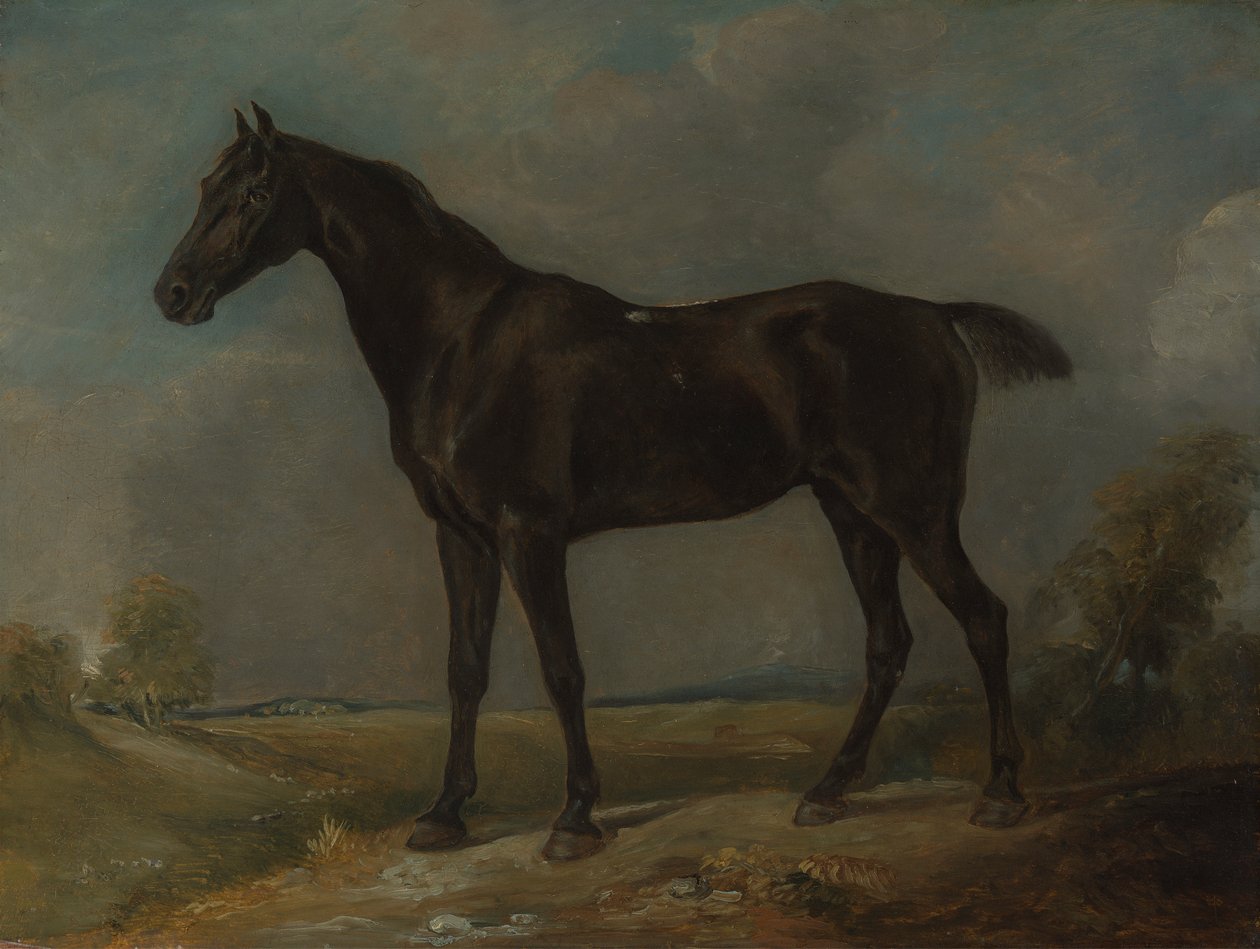 Caballo negro de Golding Constable de John Constable