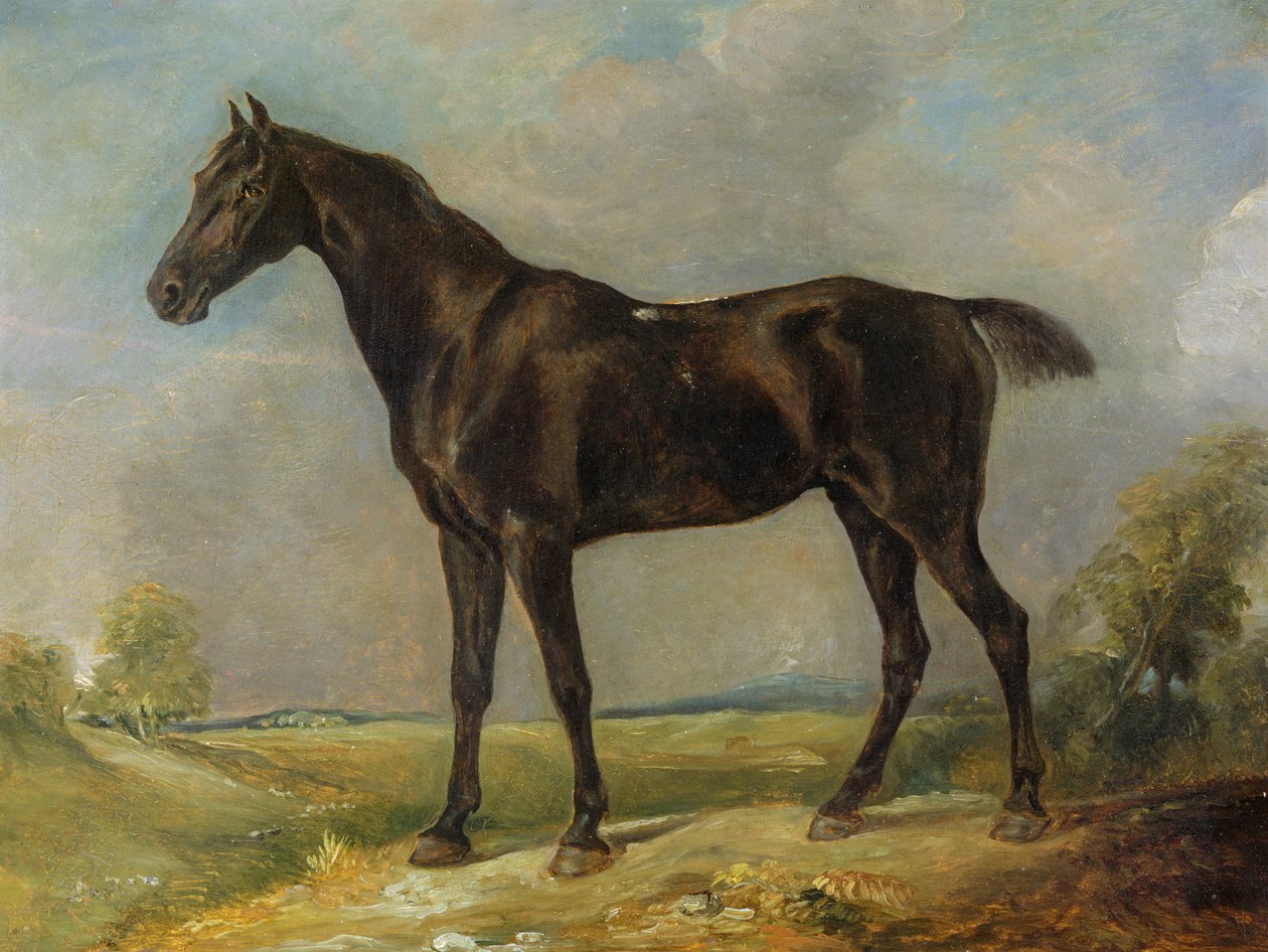 El caballo negro de montar de Golding Constable, c.1805-10 de John Constable