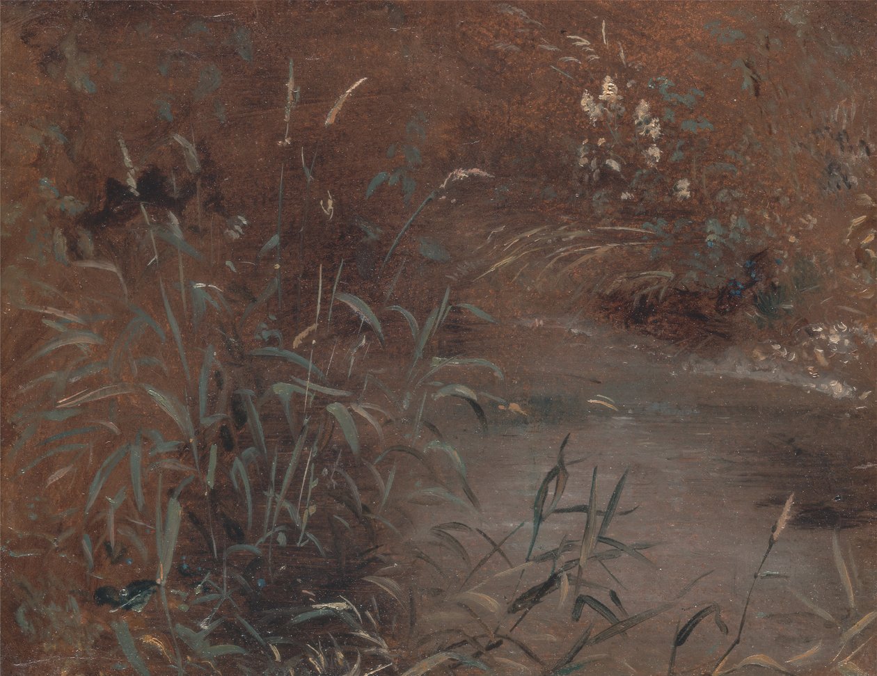 Juncos junto a un estanque, ca. 1821 de John Constable