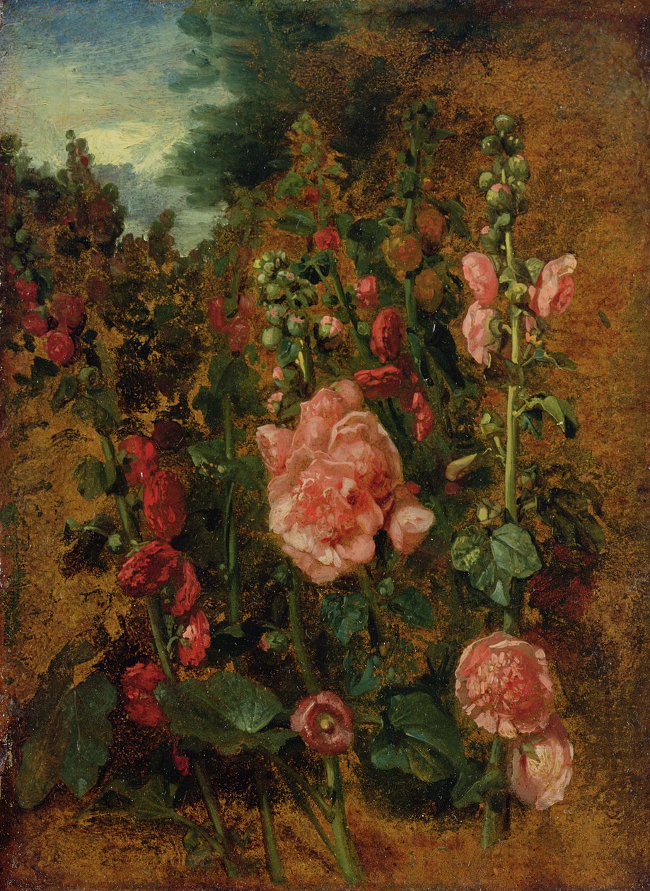 Estudio de malvarrosas, c.1826 de John Constable