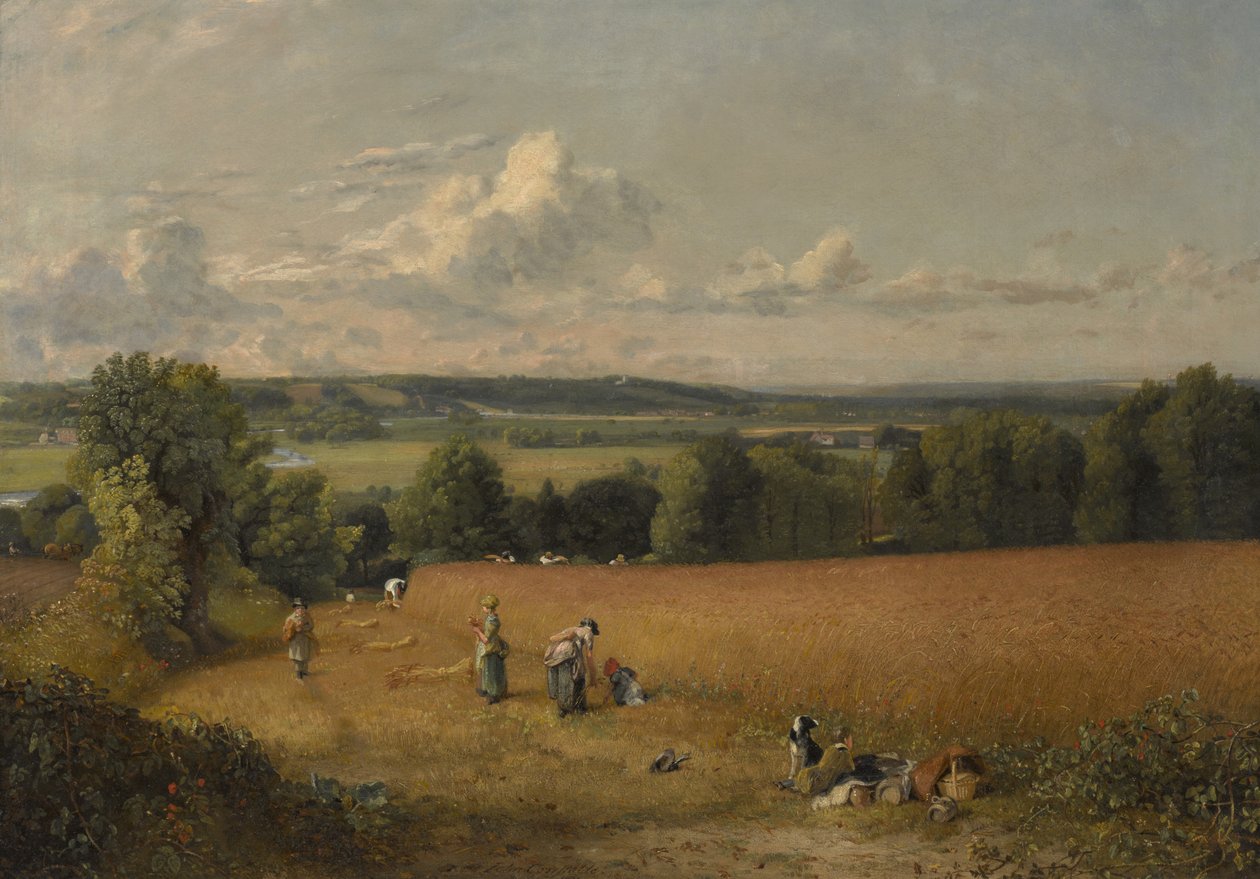 El Campo de Trigo de John Constable