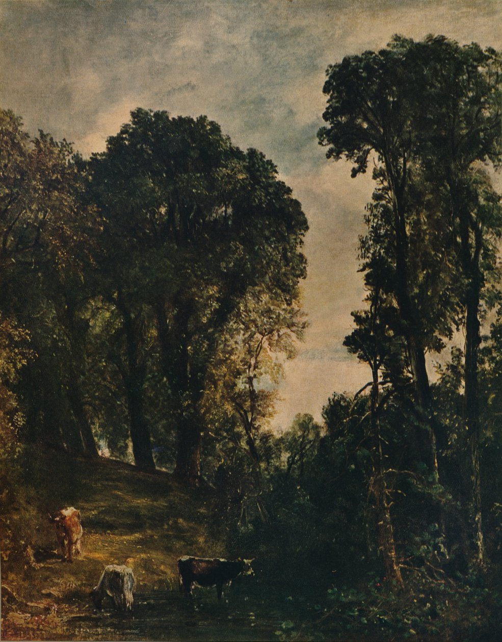 Árboles cerca de la iglesia de Hampstead, 1829, c1915 de John Constable