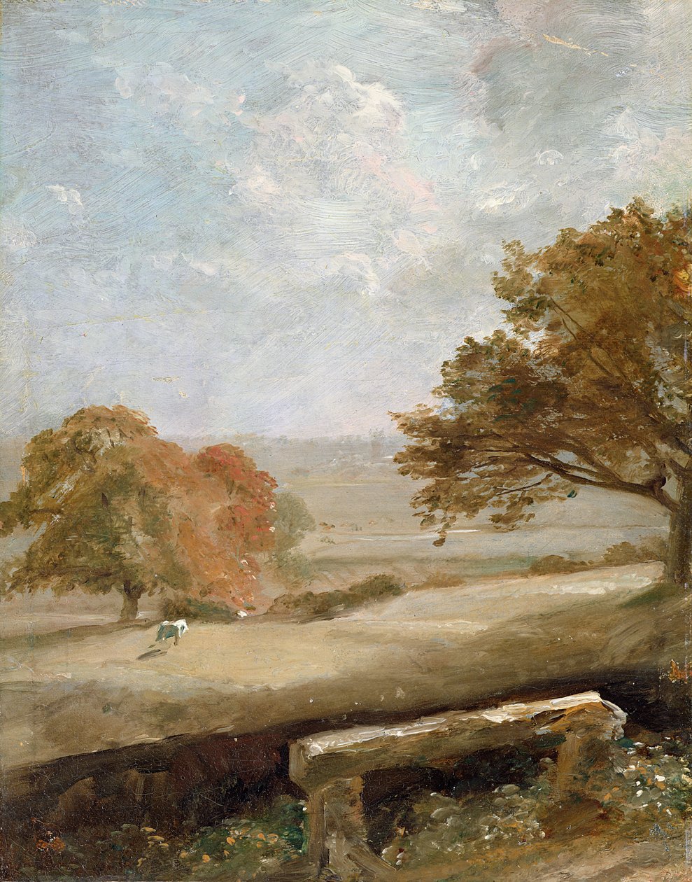 Imagen desconocida de John Constable