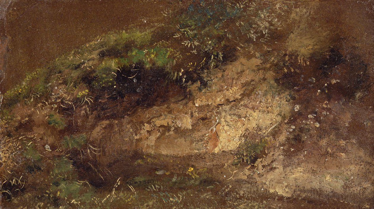 Sotobosque, c.1821 de John Constable