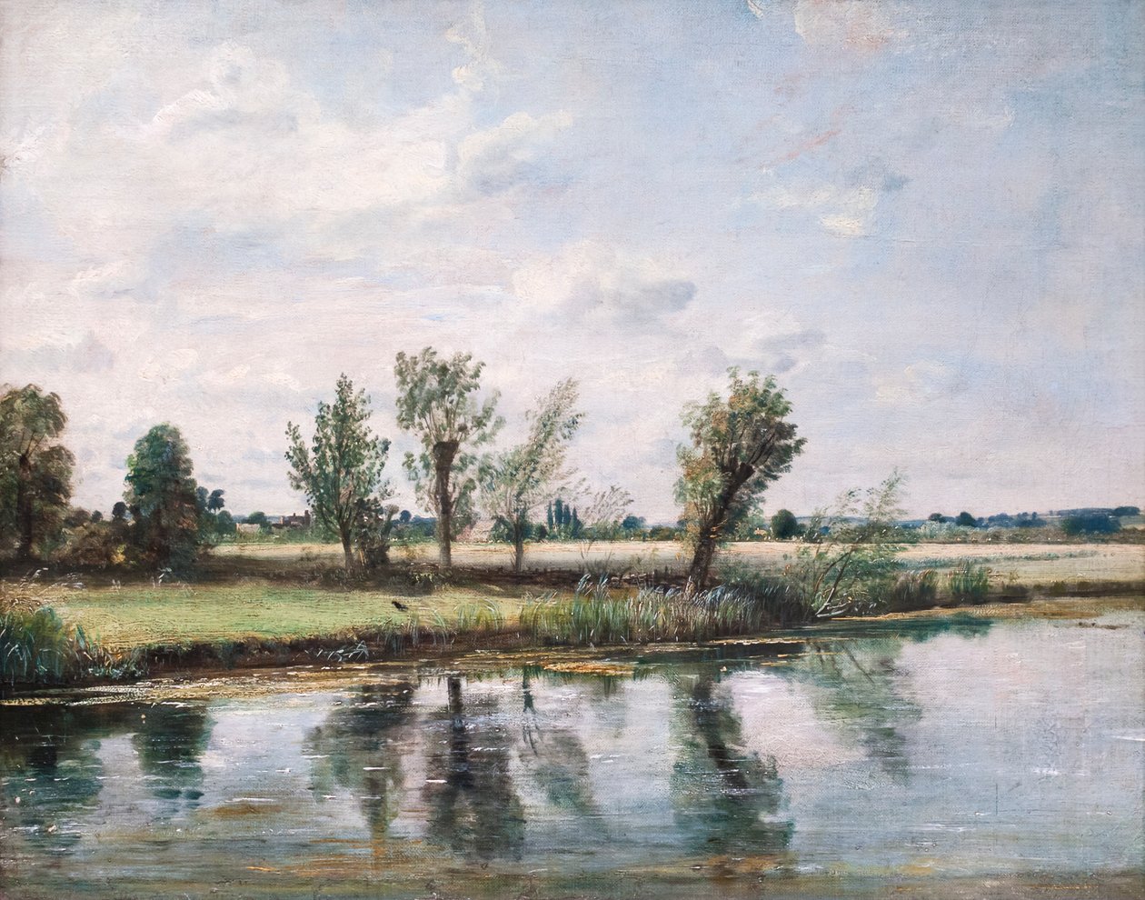 Praderas cerca de Salisbury de John Constable