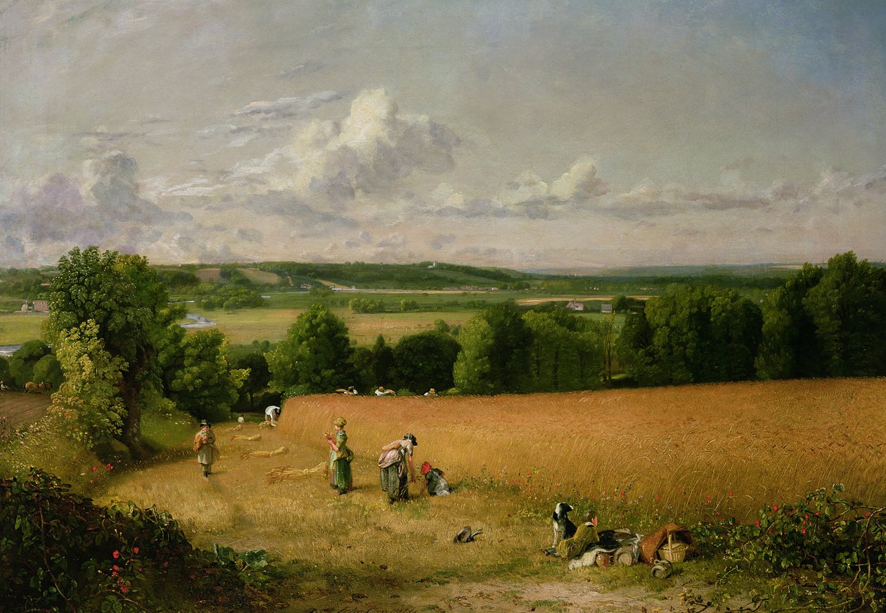 Campo de trigo de John Constable