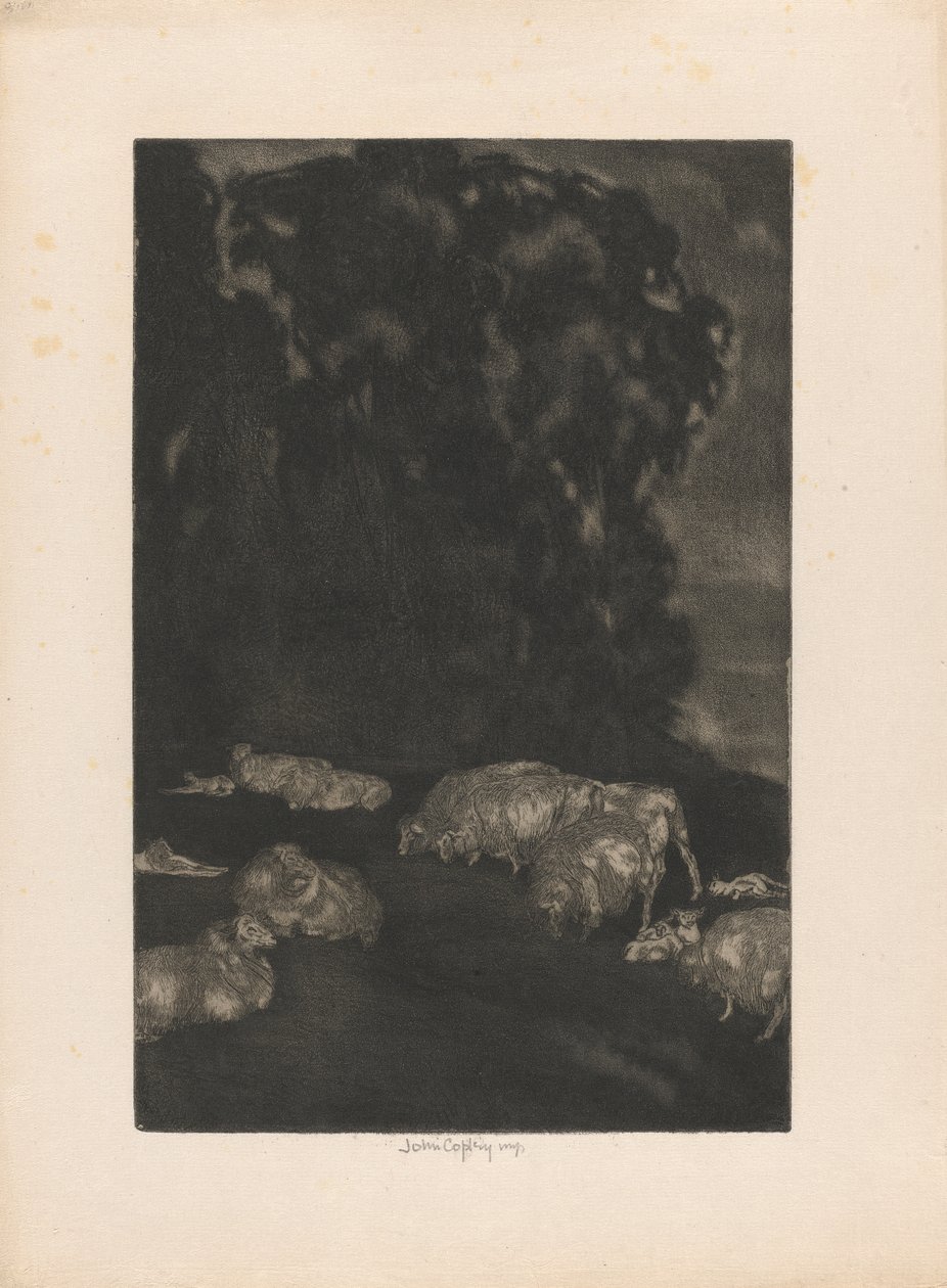 Ovejas en el crepúsculo de John Copley