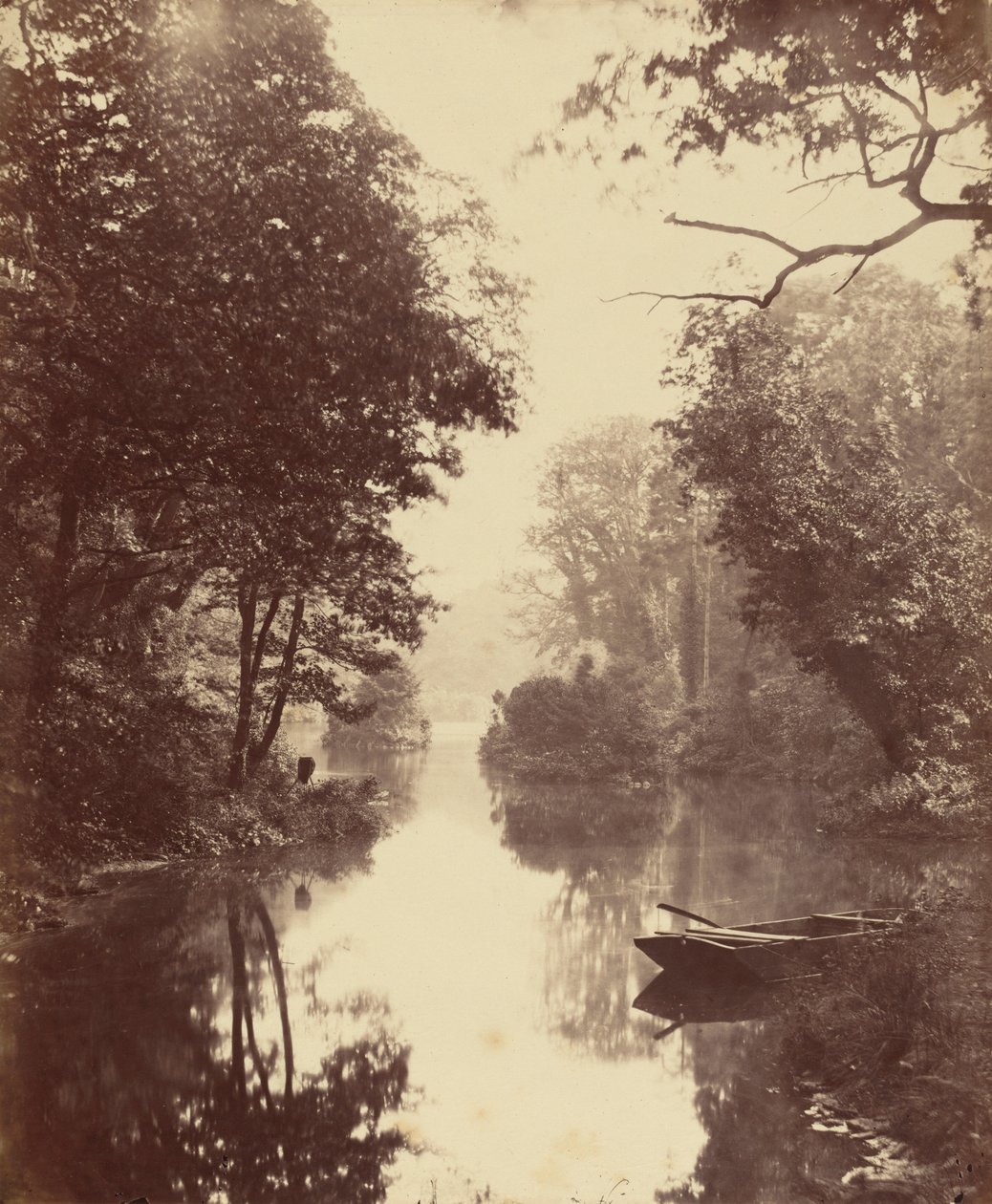 Una tarde de verano, Penllergare,25 de agosto de John Dillwyn Llewelyn