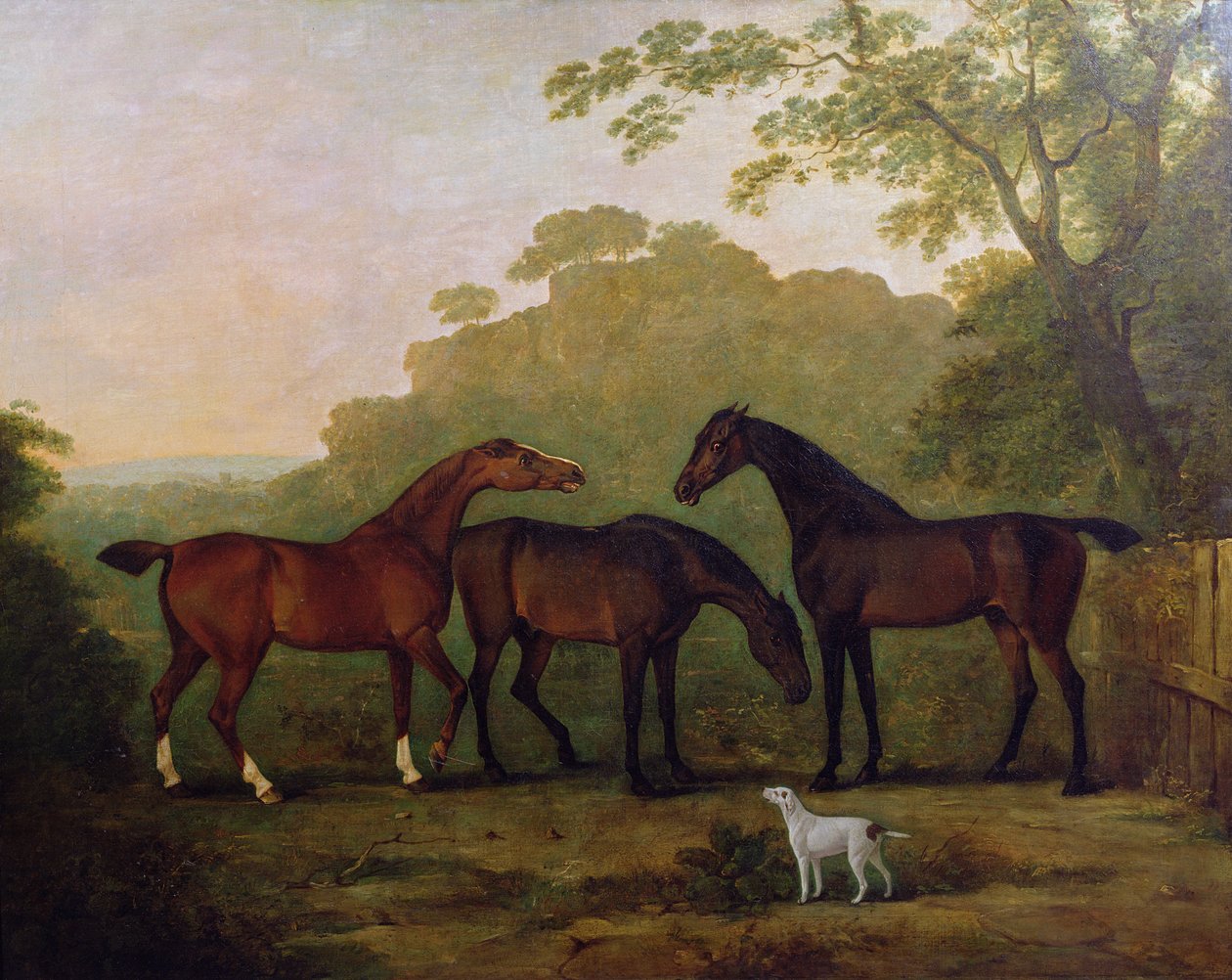 Cazadores en el pasto de John E. Ferneley