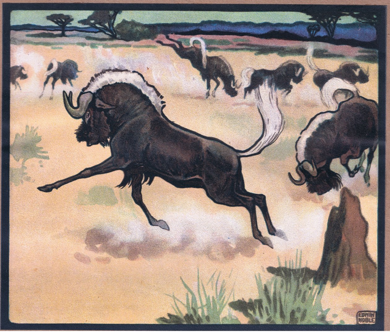 Gnu de John Edwin Noble