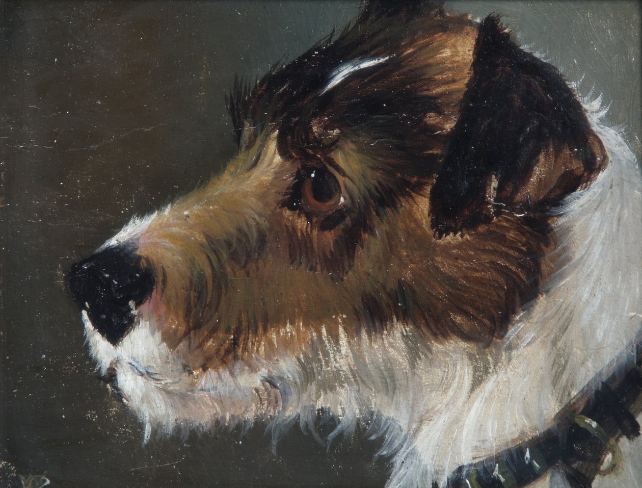 Cabeza de un terrier de pelo áspero de John Emms