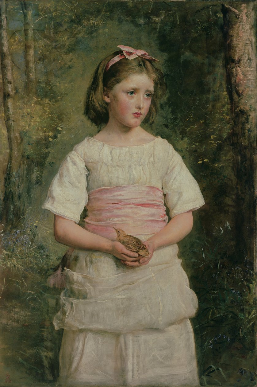 Caído del nido de John Everett Millais