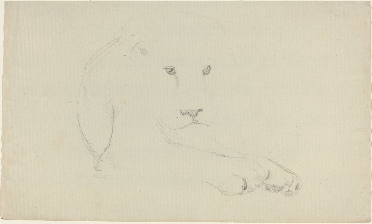 León de John Flaxman
