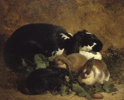 Conejos de John Frederick Herring Senior