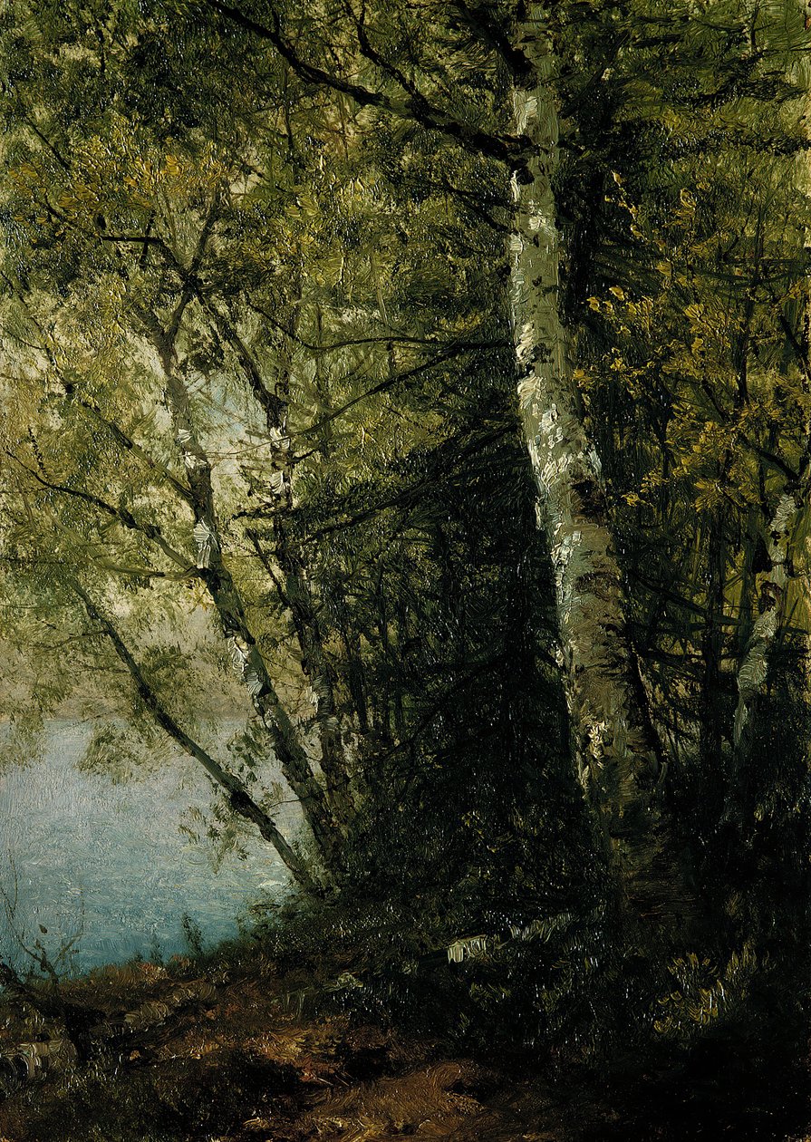 Estudio de hayas de John Frederick Kensett