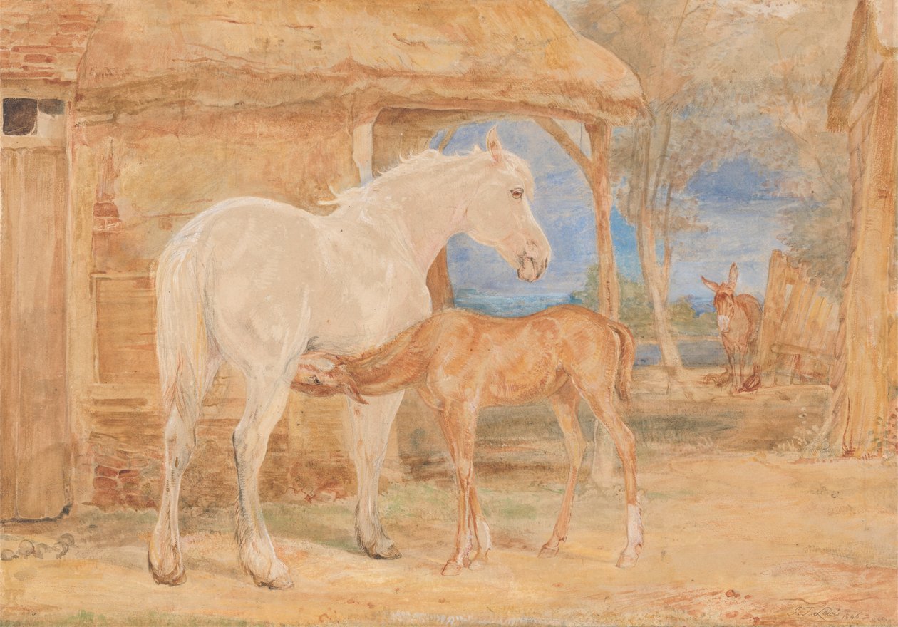 Yegua gris y potro castaño de John Frederick Lewis