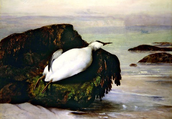 Shanklin de John George Naish