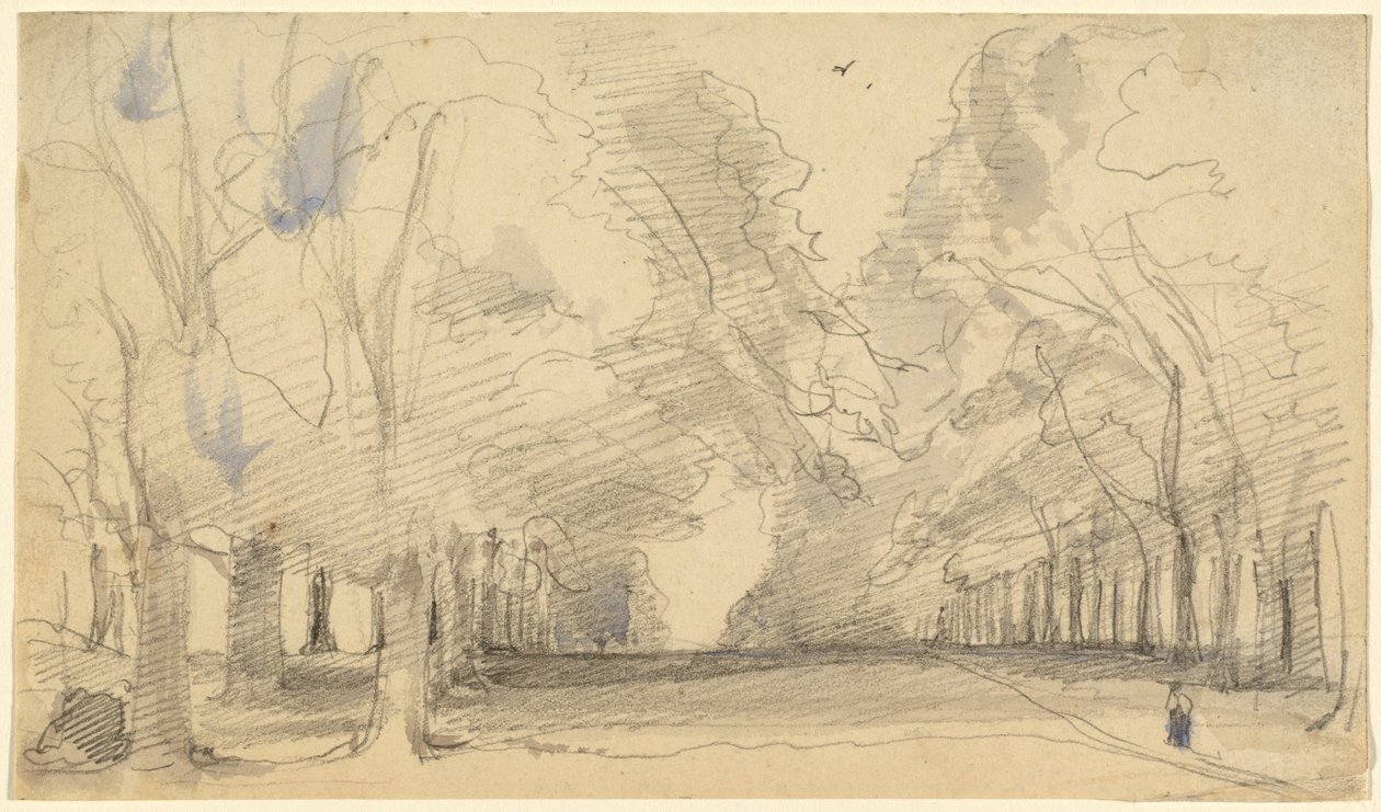 Avenida de Árboles de John Hayter