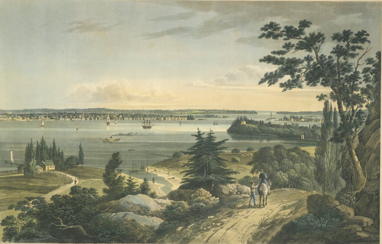 Nueva York de Weehawk de John Hill