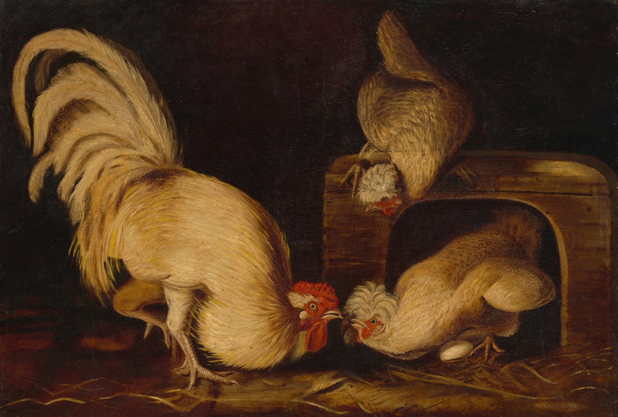 Aves de Corral en el Patio de John James Audubon