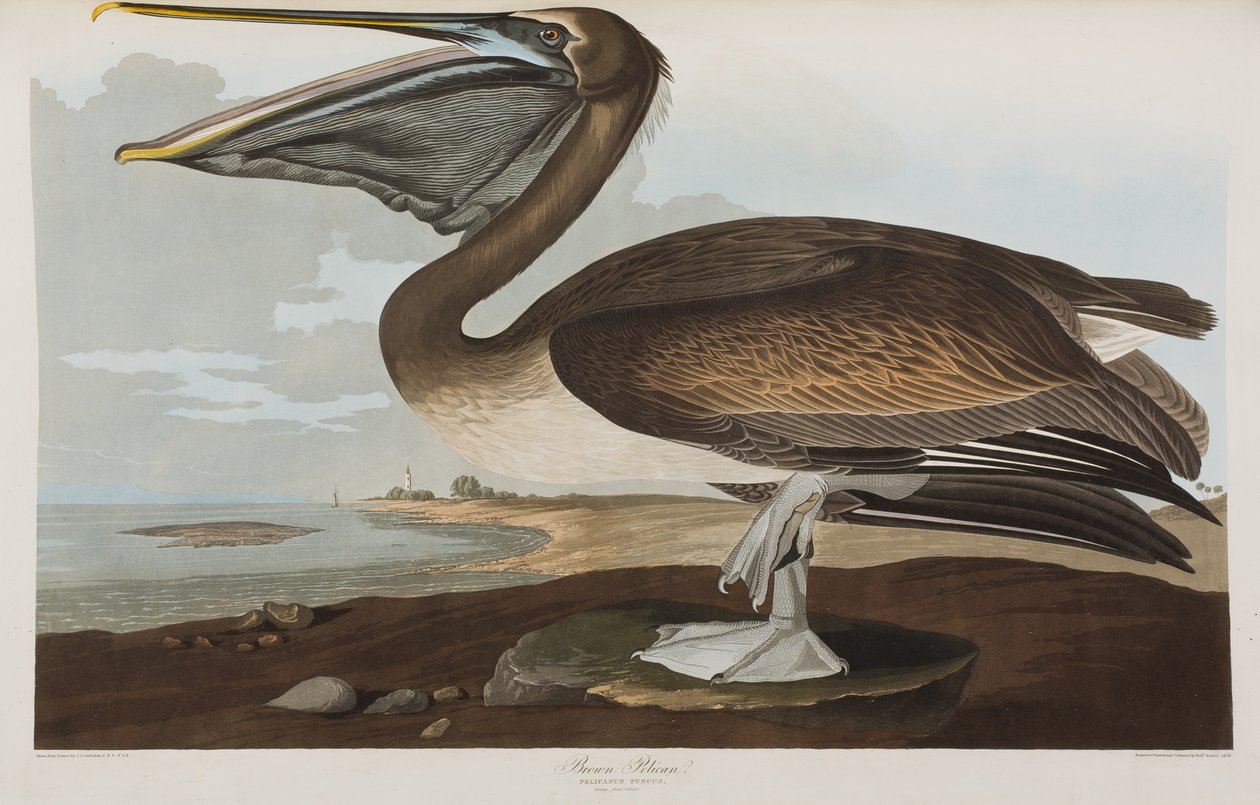 Ilustración de 