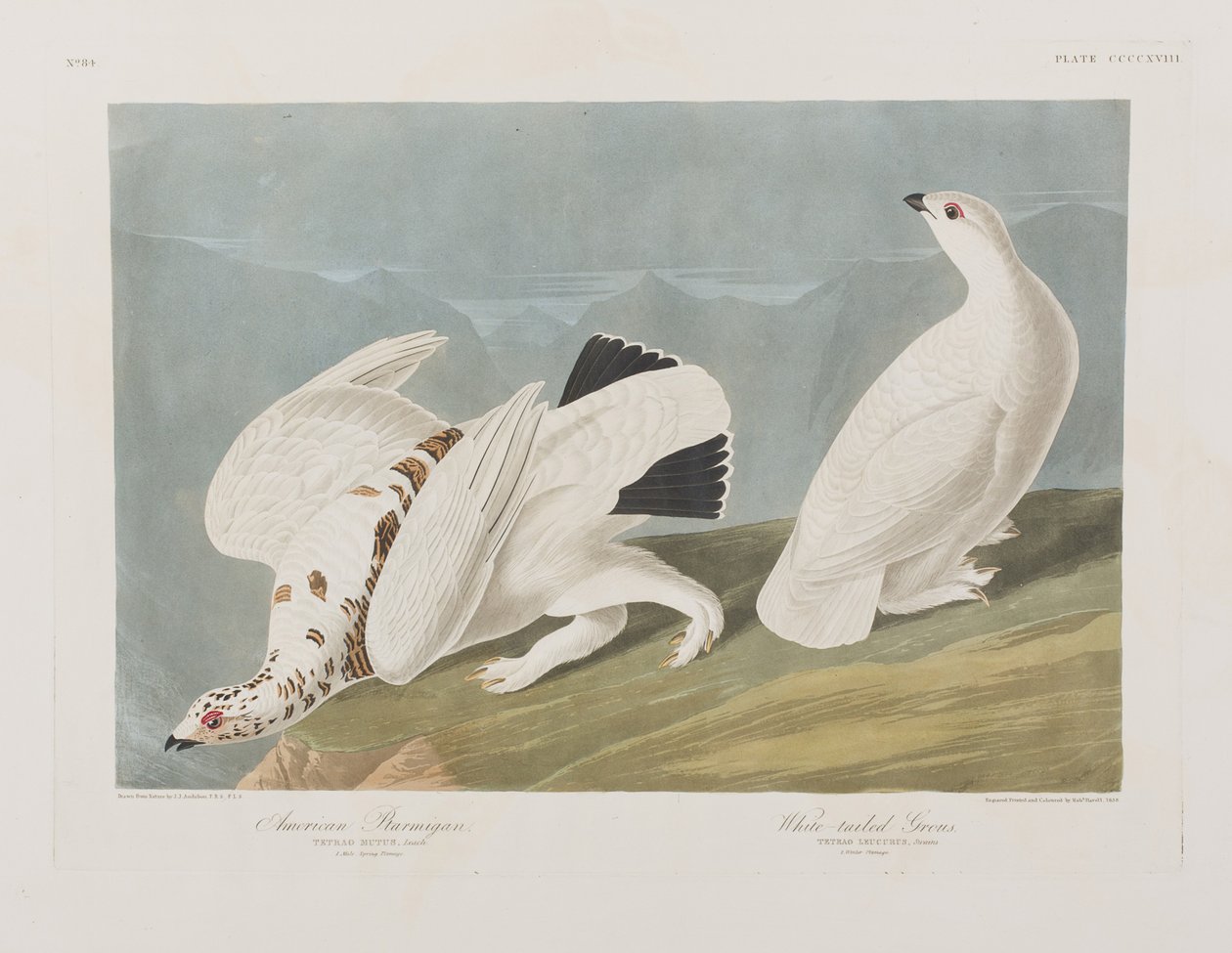 Ilustración de 