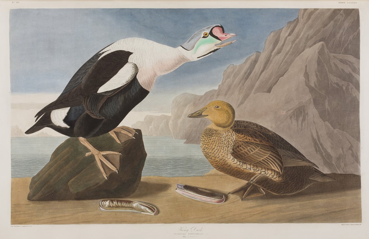 Ilustración de 