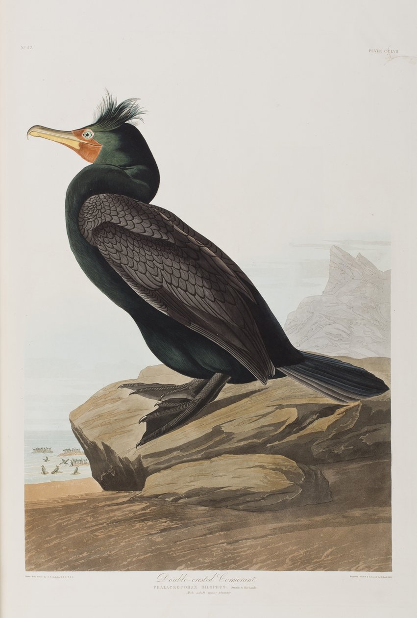 Ilustración de 