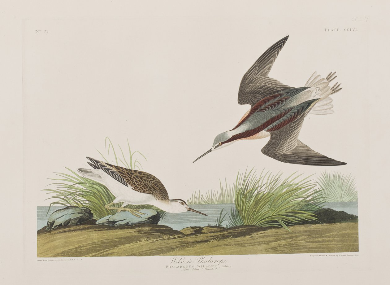 Ilustración de 