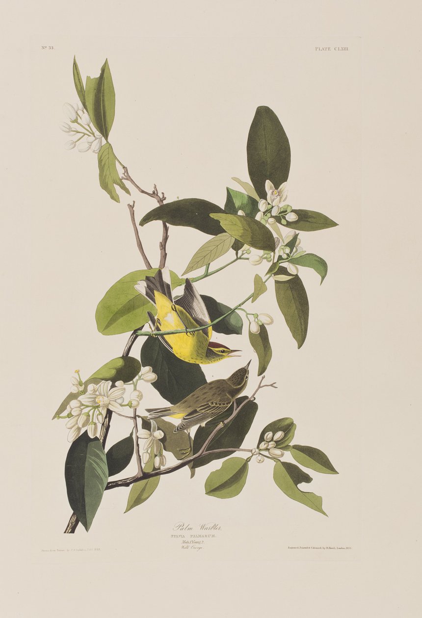 Ilustración de 