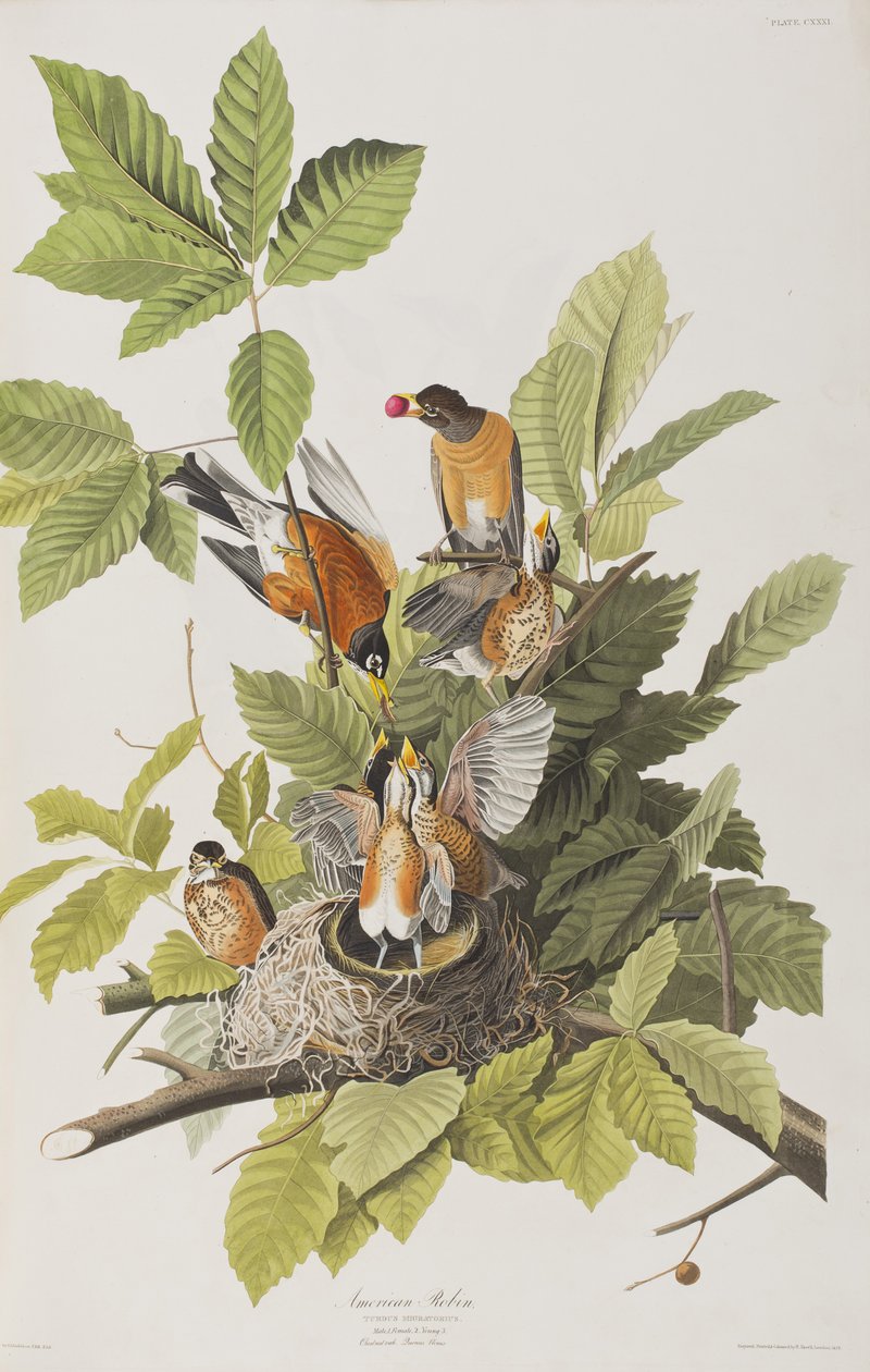 Ilustración de 
