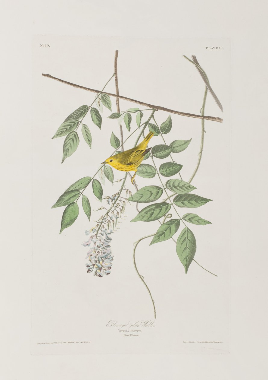 Ilustración de 