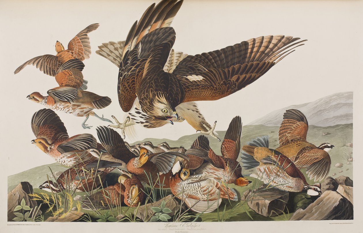 Ilustración de 