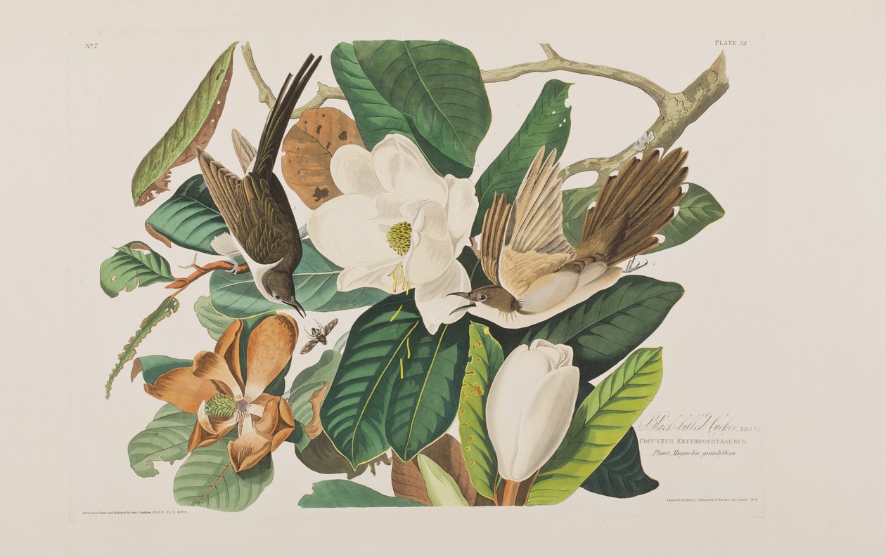 Ilustración de 