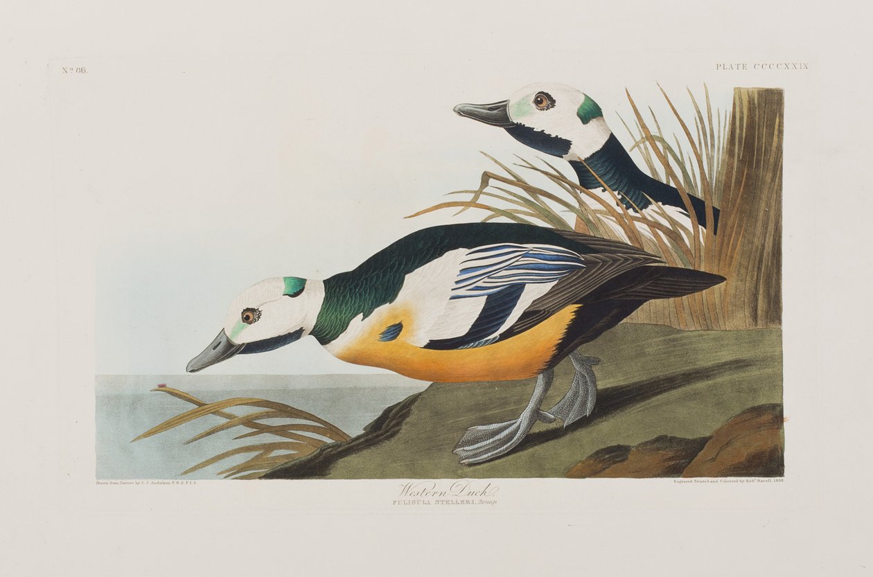Ilustración de 