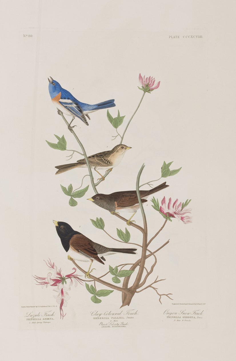 Ilustración de 
